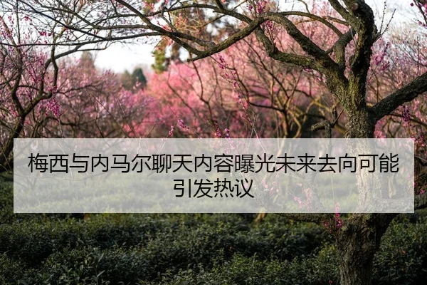 梅西与内马尔聊天内容曝光未来去向可能引发热议